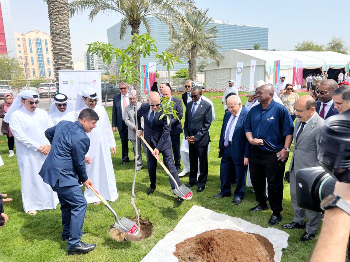 Ambassador of Türkiye H E Dr. Mustafa Goksu and Ambassador of Azerbaijan H E Mahir Aliyev plant a tree while other dignitaries and officials from the Ministry of Municipality look on, at Old Airport Park, Doha, yesterday. 