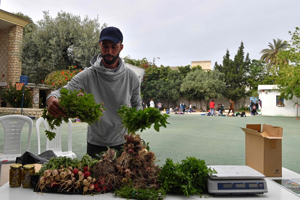 In this picture taken on May 19, 2023, farmer Saber Zouani arranges his organic vegetables to sell at the French primary school in Bizerte, grown using permaculture, a natural technique that is beginning to gain a foothold in Tunisia as a solution to climate challenges. Photos by FETHI BELAID / AFP