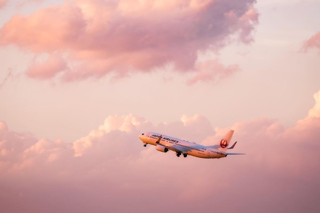 Source: Japan Airlines official Facebook page