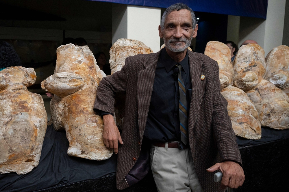 Peruvian paleontologist Mario Urbina poses next to the fossilized remains of the Perucetus colossus at the Natural History Museum in Lima on August 2, 2023. (Photo by Cris Bouroncle / AFP)