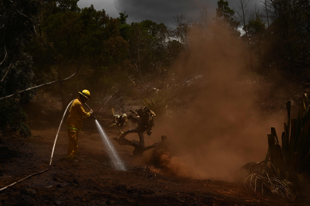 A Maui County firefighter uses a hose line to extinguish a fire near homes during the upcountry Maui wildfires in Kula, Hawaii on August 13, 2023. Photos by Patrick T. Fallon / AFP