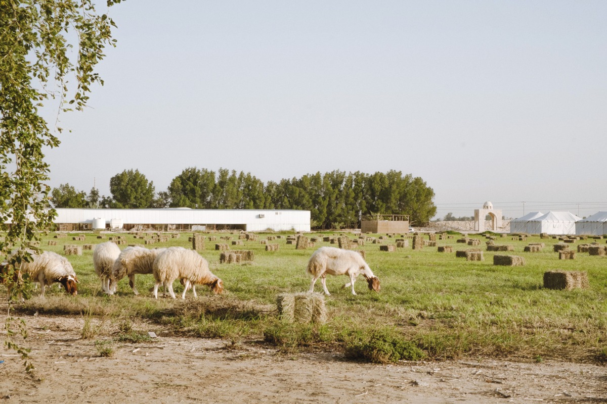 A view of Heenat Salma Farm. Pic: Heenat Salma/Facebook