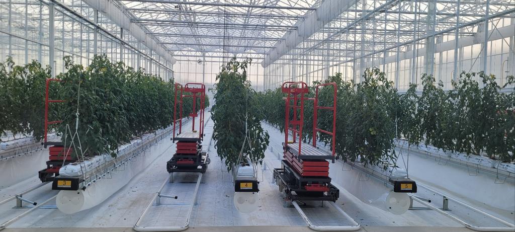 A greenhouse at Gimje Smart Farm Innovation Valley. Photos courtesy of South Korea's Ministry of Agriculture, Food and Rural Affairs