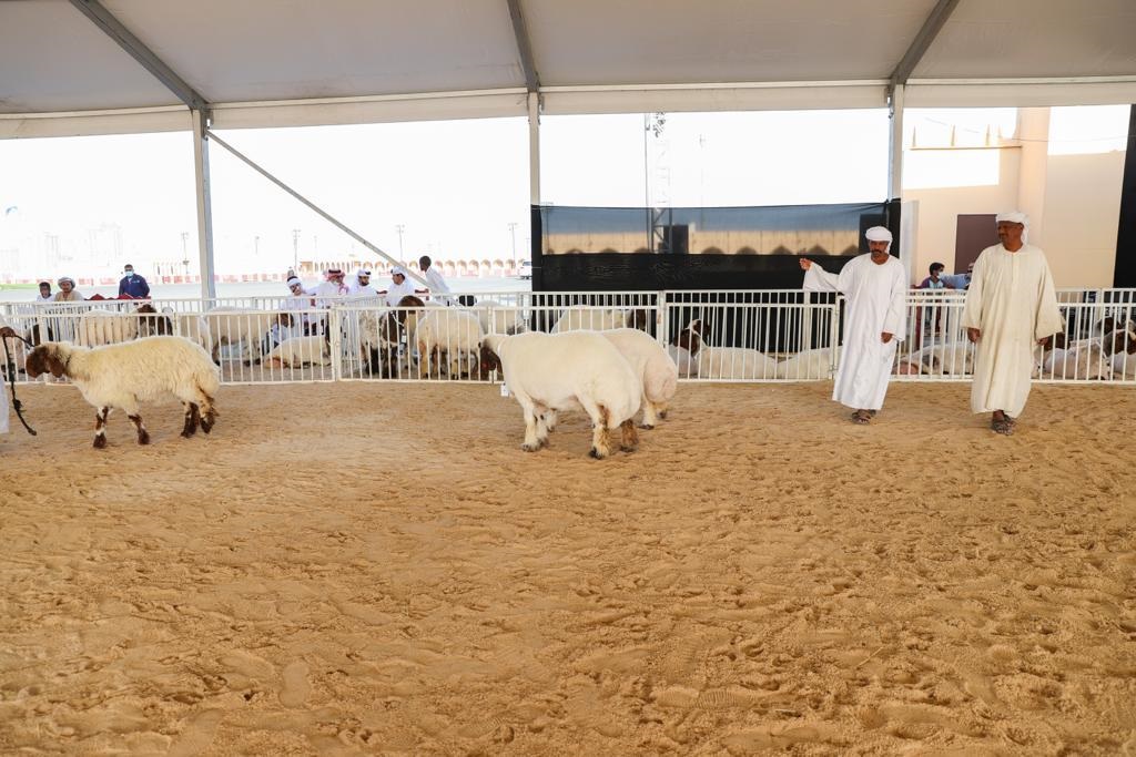 Participants during a recent edition of the Halal Festival (file photo).