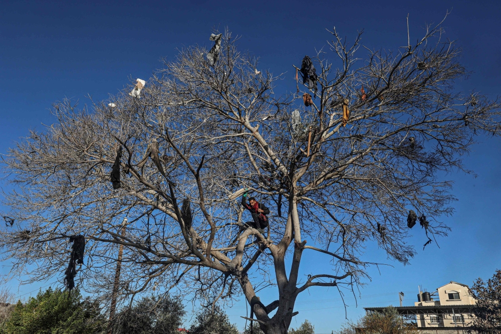 A Palestinian man climbs a tree to collect clothes after the Israeli bombardment in Rafah in the southern Gaza Strip on March 11, 2024. (Photo by Said Khatib / AFP)

