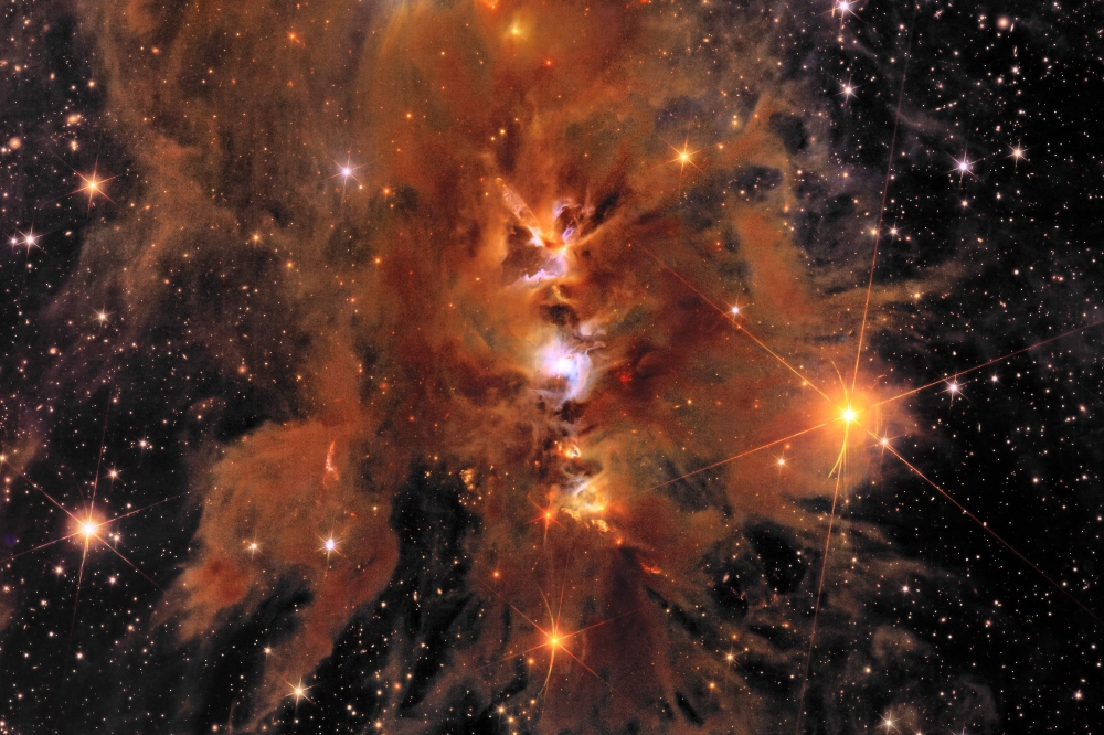 This handout image obtained on May 23, 2024 courtesy of NASA/ESA/CSA shows space telescope Euclid's new image of star-forming region Messier 78. (Photo by Handout / ESA/Euclid/Euclid Consortium/NASA / AFP)