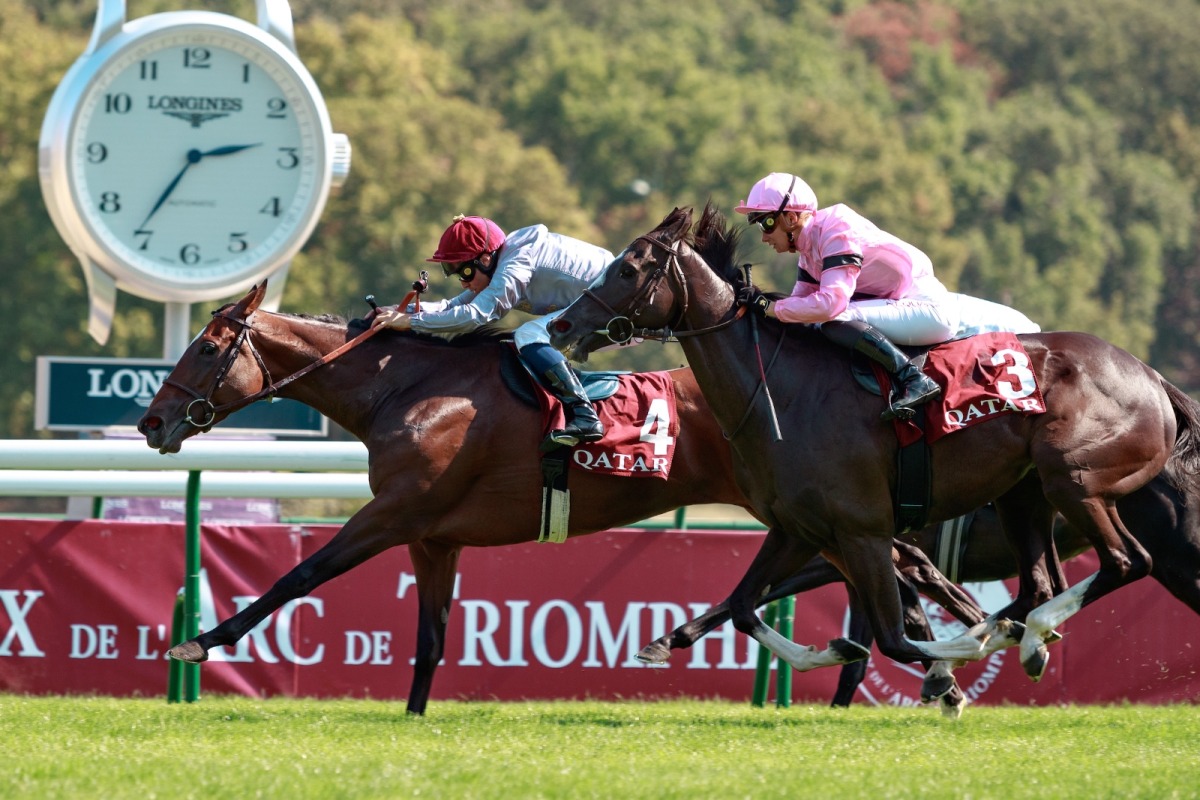 Qatar Arc Trials is considered the last stepping stone to the Qatar Prix de l’Arc de Triomphe weekend.  