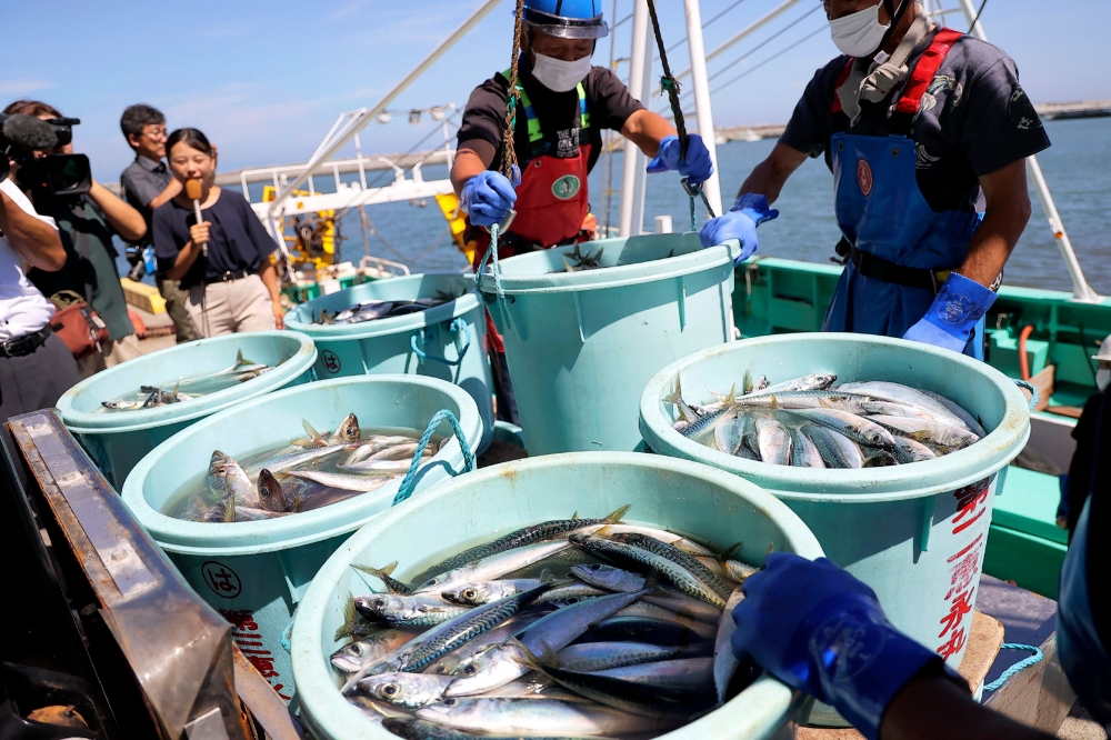 This file photo taken on September 1, 2023 shows fishery workers unloading seafood caught in offshore trawl fishing at the port of Matsukawaura in the city of Soma, Fukushima prefecture, about a week after the country began discharging treated wastewater from the TEPCO Fukushima Daiichi nuclear power plant. Photo by JIJI Press / AFP