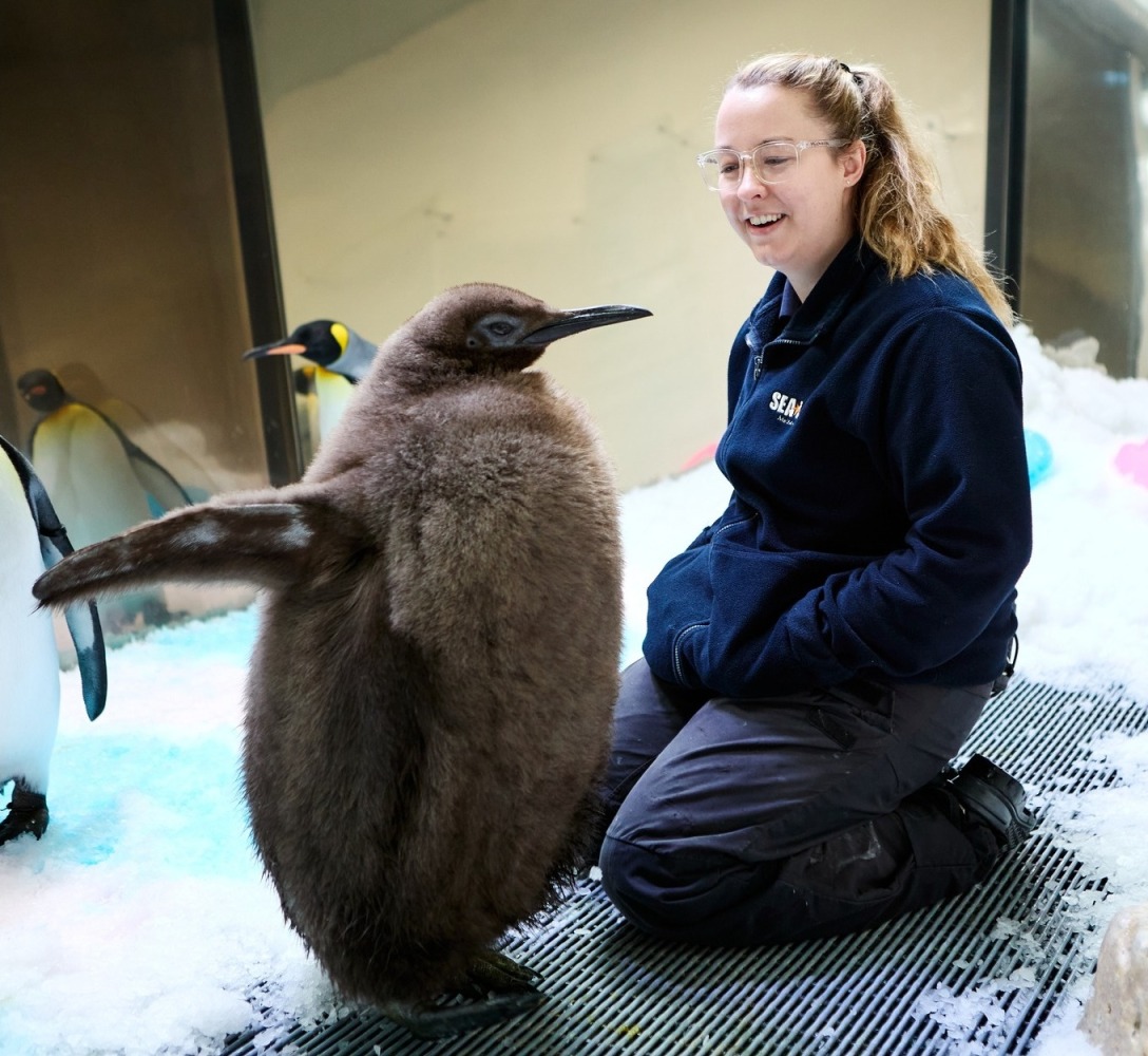 Photo credit: Official Instagram account of SEA LIFE Melbourne.