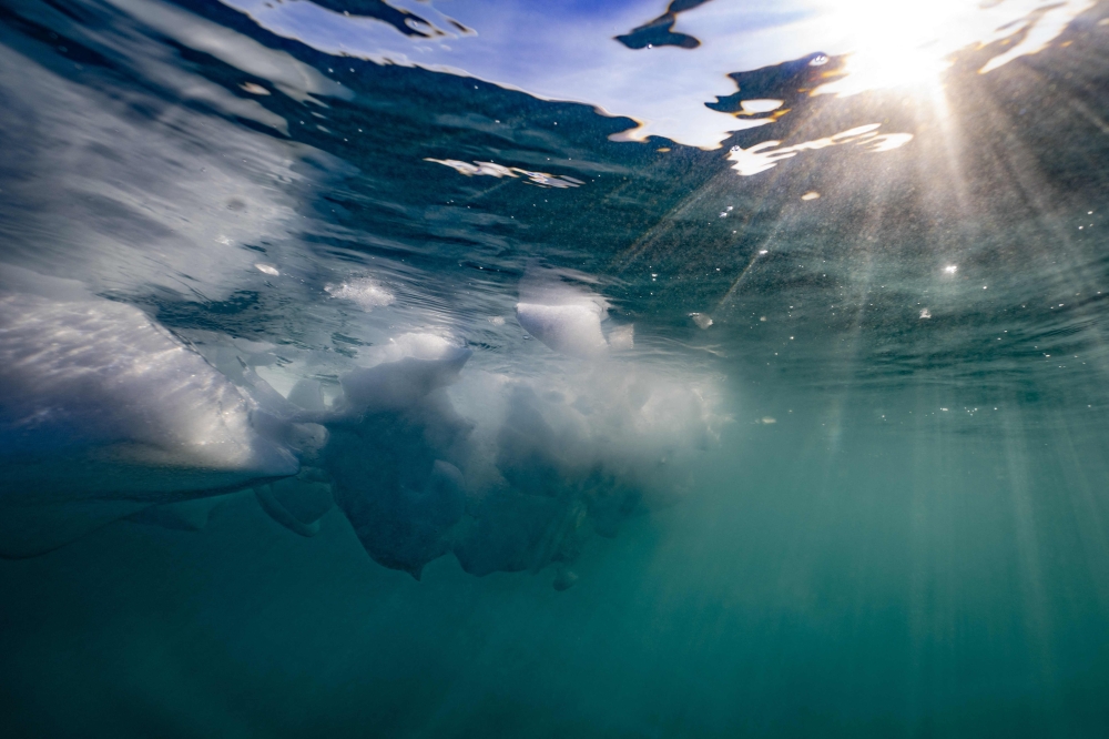 This underwater photograph taken on August 16, 2023, shows fragments of a melting iceberg due to unusually high temperatures in Scoresby Fjord, Greenland.  Photo by Olivier MORIN / AFP