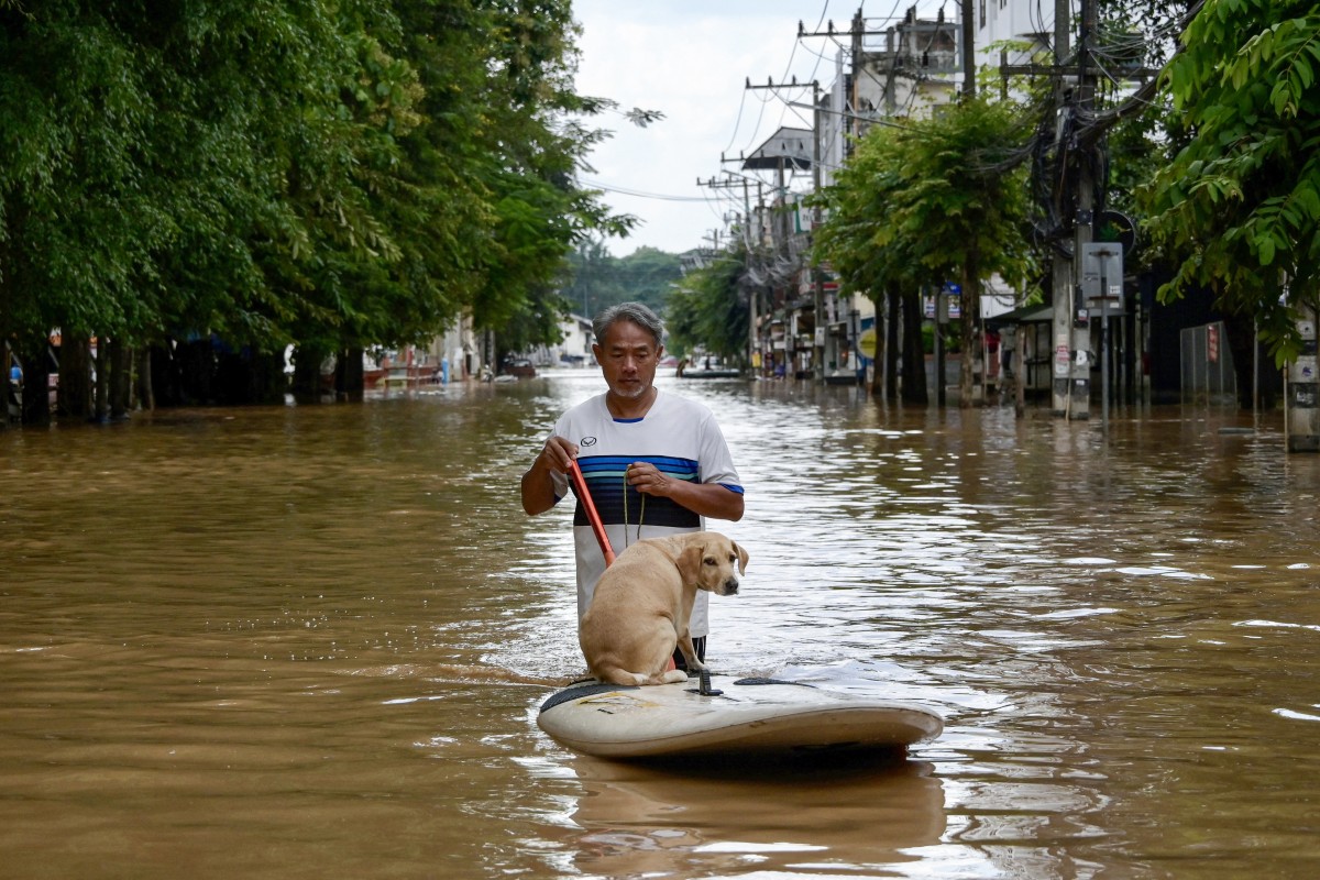 A resident transports his dog on a board as he wades through flood waters in Chiang Mai, on October 6, 2024. Photo by AFP.