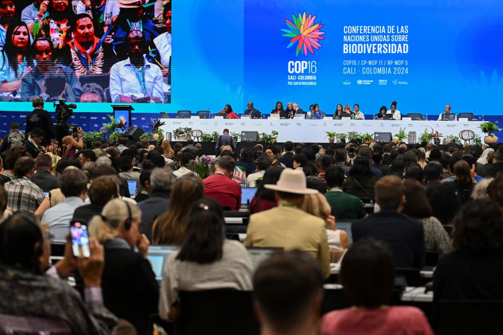 General view of the opening ceremony of the COP16 summit in Cali, Colombia, on October 21, 2024. (Photo by Joaquin Sarmiento / AFP)
