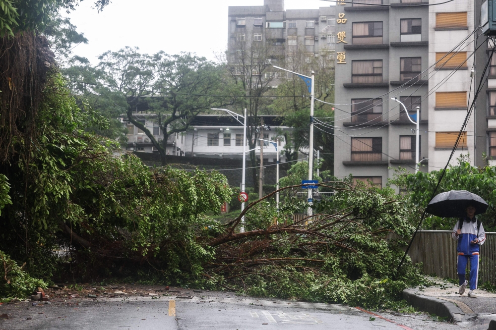 A fallen tree blocks a road in Keelung on November 1, 2024, after Typhoon Kong-rey made landfall in eastern Taiwan on October 31. (Photo by I-Hwa Cheng / AFP)