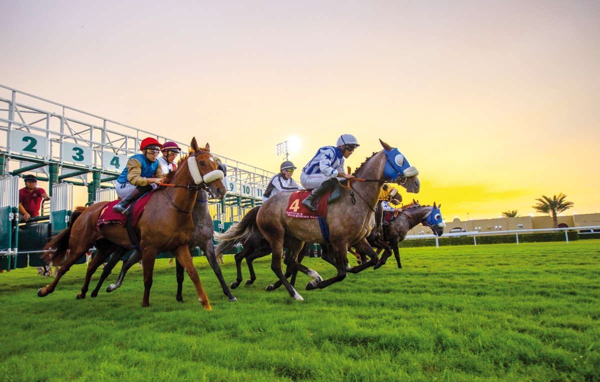 The new horse racing season will feature 69 race meetings, with 47 to be held at Al Rayyan racecourse and 22 at Al Uqda racecourse.