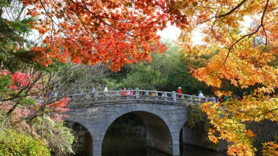 Fall foliage at Bulguksa Temple in Gyeongju, North Gyeongsang Province. Photo: KTO/THE KOREA HERALD

