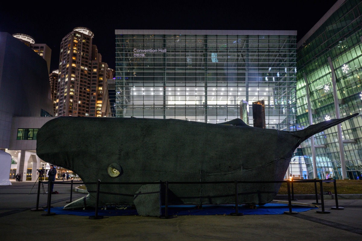 An art installation depicting a whale with an interior lined with plastic waste is displayed near the entrance of Bexco in Busan on November 30, 2024, the venue of the fifth meeting of the Intergovernmental Negotiating Committee to develop an international legally binding instrument on plastic pollution (INC-5). (Photo by ANTHONY WALLACE / AFP)
