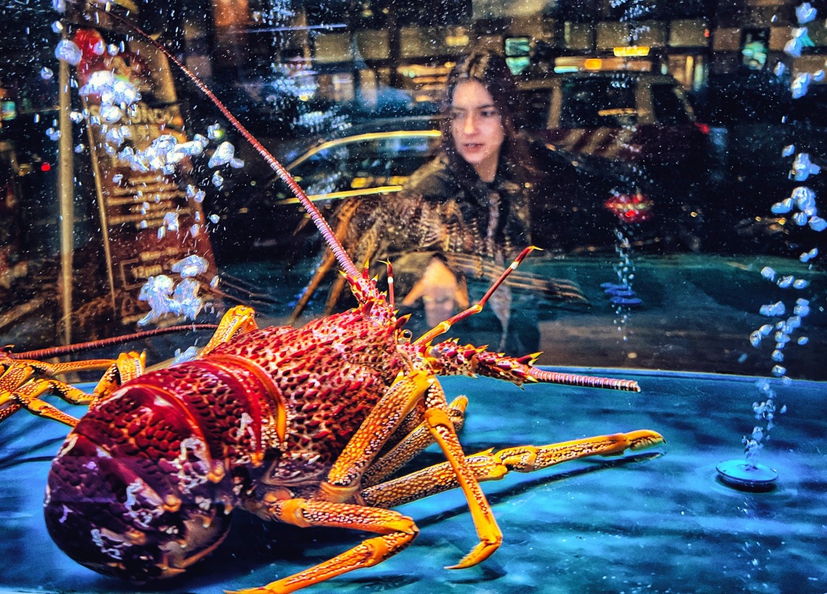 A woman looks at a giant lobster in a Chinese seafood restaurant's aquarium in Hong Kong on December 19, 2024. (Photo by Mladen ANTONOV / AFP)