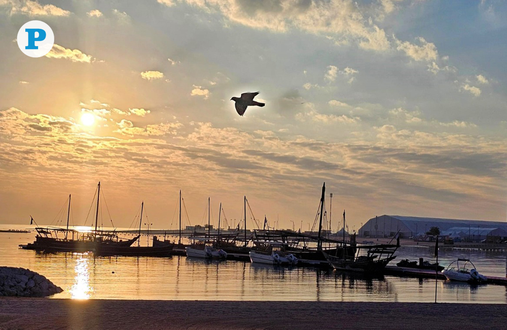 File photo: A lone bird encased in the sun's warm glow glides across the Katara beachfront. (Pic: Marivie Alabanza / The Peninsula)