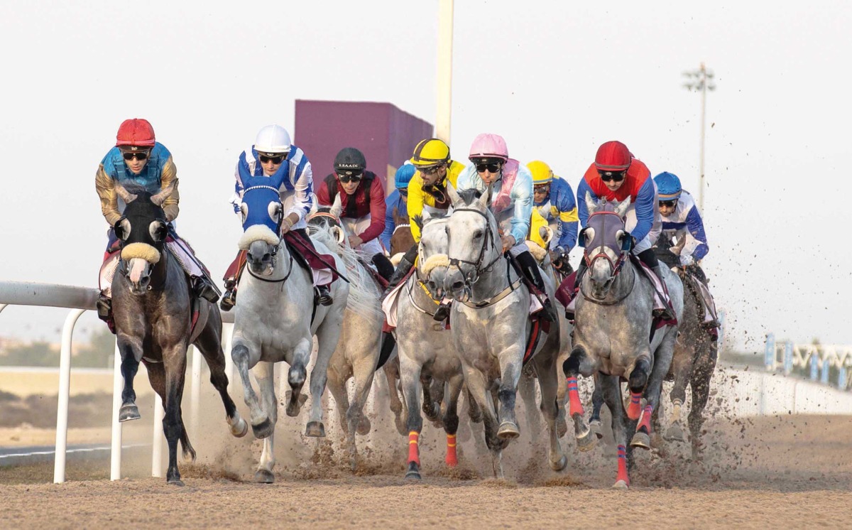 Action during the End Of Year Cup at Al Uqda Racecourse yesterday. PICS: Juhaim/QREC