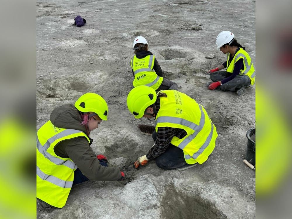 A handout photograph taken by vertebrate palaeontologist, Dr Emma Nicholls, and released by the Oxford University of Natural History on January 2, 2025 (Photo by Emma NICHOLLS / Oxford University Museum of Natural History / AFP)