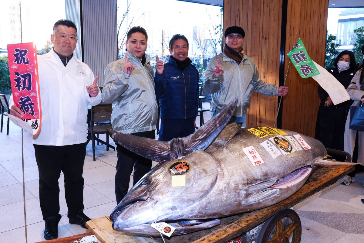 A bluefin tuna from Oma, Aomori Prefecture, which was purchased earlier in the day for 1.3 million USD, is presented to the media following the first tuna auction of the New Year at Tokyo's Toyosu Market on January 5, 2025. (Photo by JIJI PRESS / AFP)