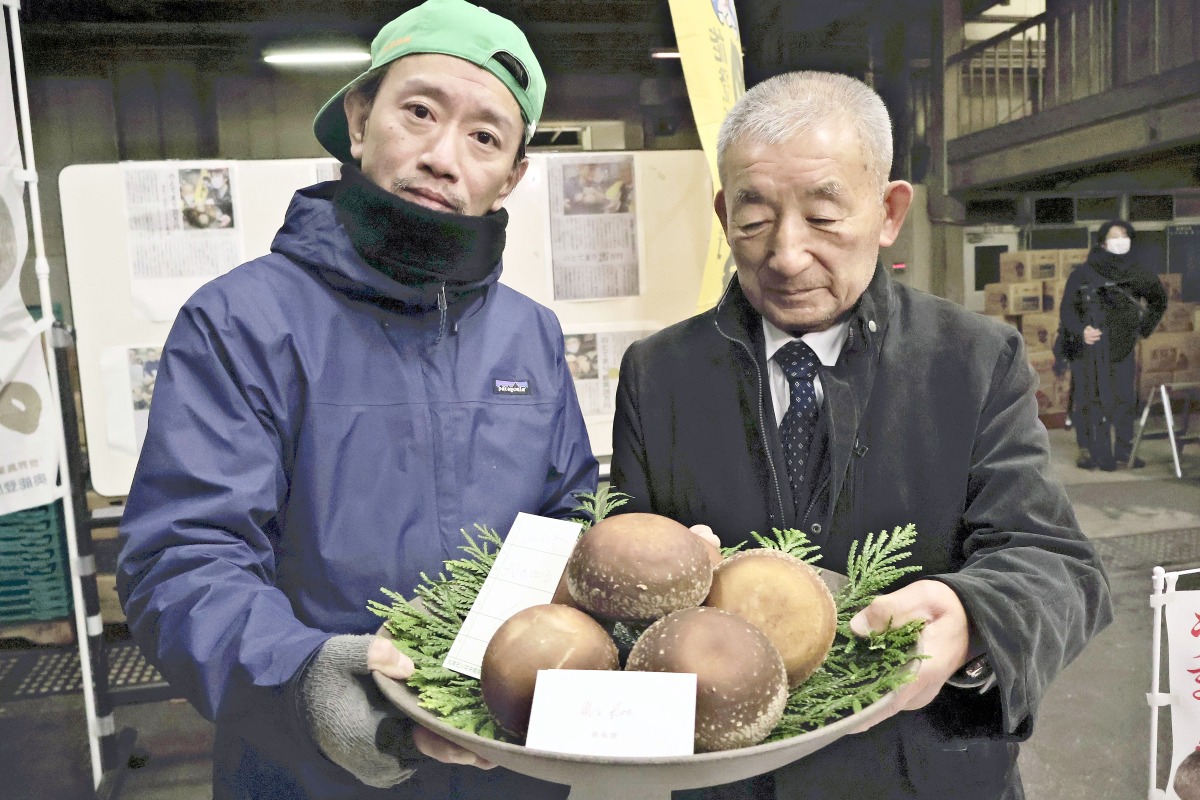 The Noto Temari-brand shiitake mushrooms sold for 350,000 yen. Photo credit: The Japan News