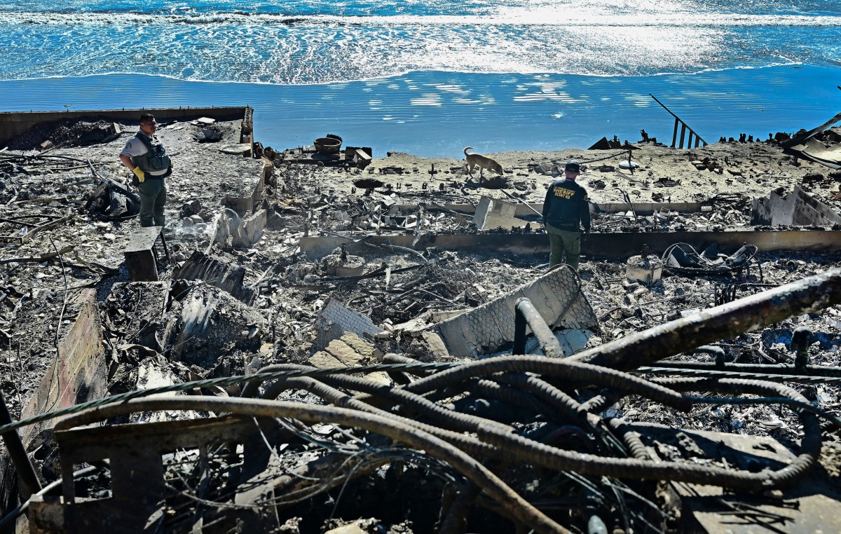 A cadaver dog, from the Los Angeles County Sheriff, sniffs through the rubble of beachfront properties destroyed by the Palisades Fire along Pacific Coast Highway in Malibu, California, on January 12, 2025. Photo by Frederic J. BROWN / AFP