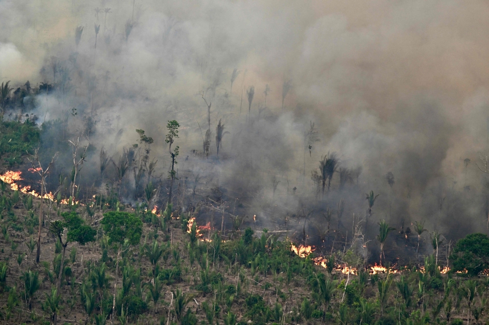 File: Aerial view of an area of Amazon rainforest deforested by illegal fire in the municipality of Labrea, Amazonas State, Brazil, taken on August 20, 2024. (Photo by Evaristo Sa / AFP)