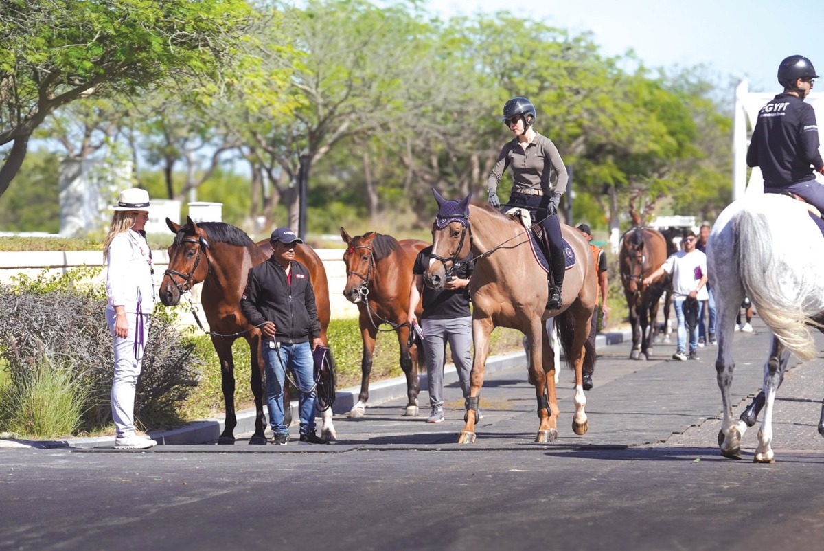 The vet check ahead of the third and final round took place yesterday. 