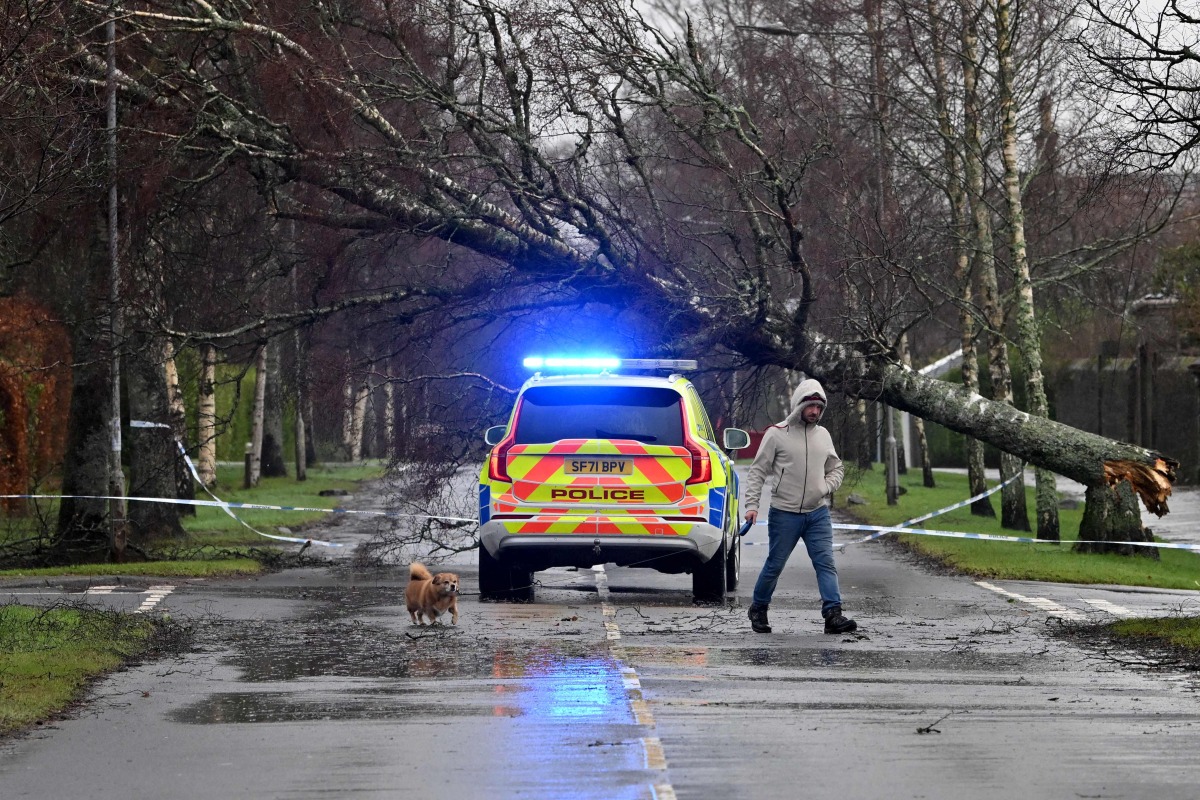 A photograph taken on January 24, 2025 shows a personm walking their dog backdropped by a police car and fallen tree obstructing the road in Helensburgh Scotland, as storm Eowyn brings winds of 100 mph to the UK and Ireland. (Photo by ANDY BUCHANAN / AFP)
