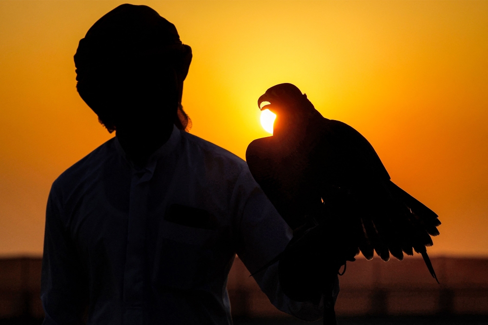 As the sun sets, a falcon perches on the arm of a young falconer during the Qatar International Falconry and Hunting Festival at Sabkhat Marmi in Sealine, on January 25, 2025. (Photo by Karim Jaafar / AFP)