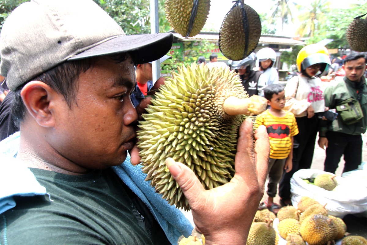 A man smells a local durian at a durian market in Randulanang village in Klaten Regency, Central Java, Indonesia, Feb. 16, 2025. (Photo by Bram Selo/Xinhua)
