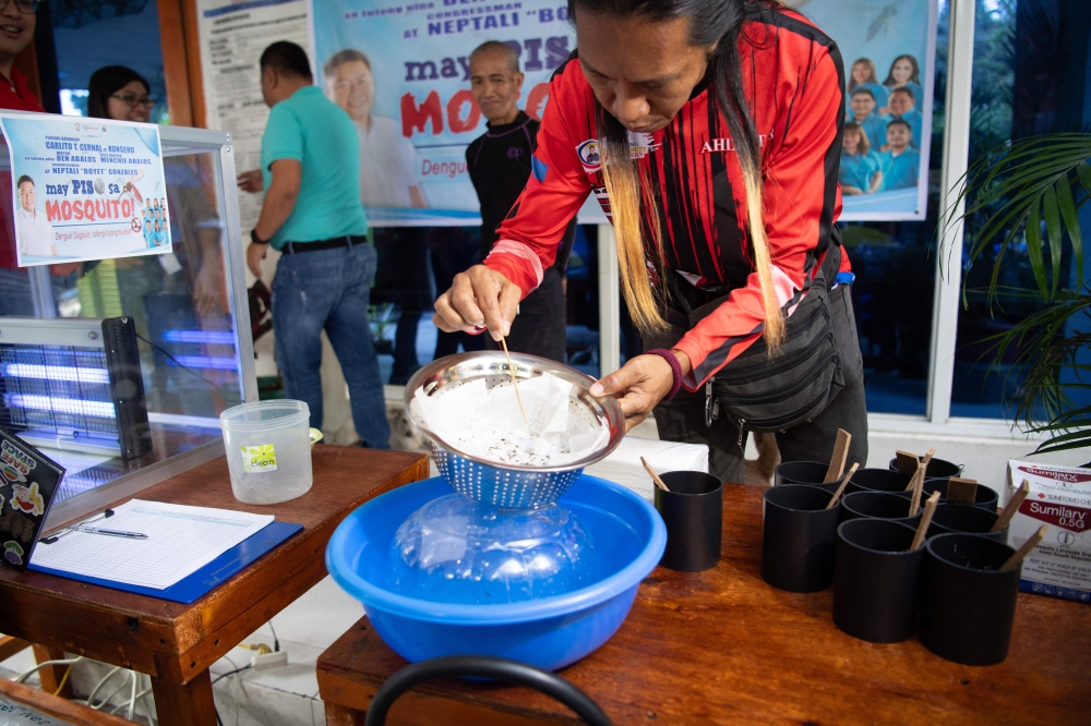 A village officer examines a strainer filled with mosquito larvaes for counting at the start of 