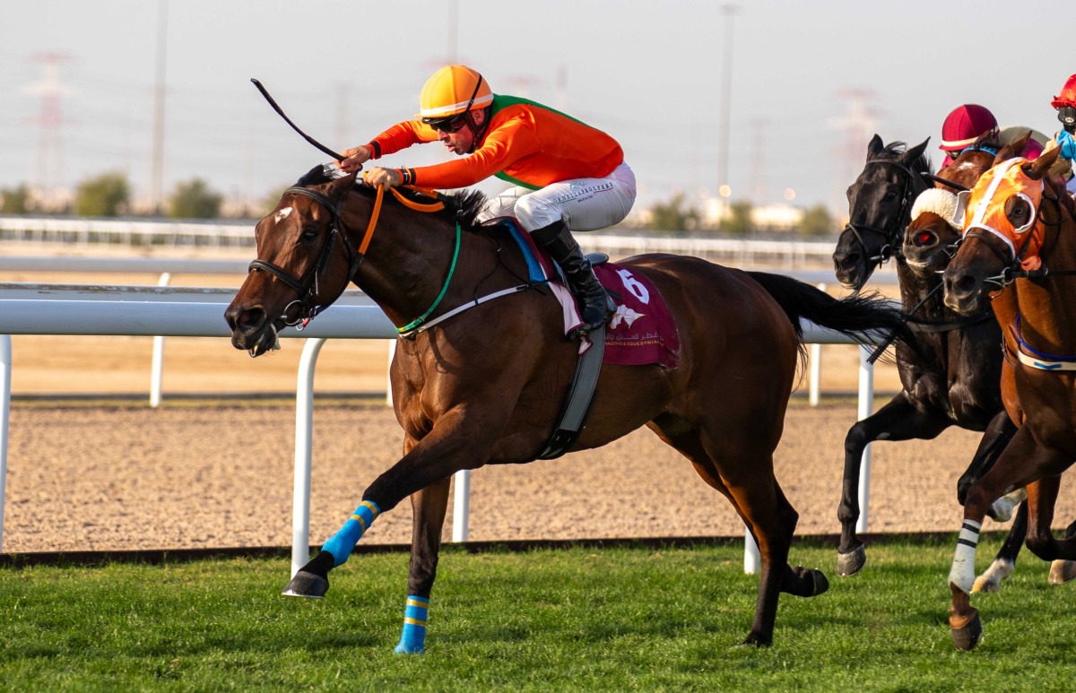 Al Shomos, with Ivan Rossi in the saddle, on his way to win the Al Uqda Local Thoroughbred Trophy. PIC: Juhaim/QREC