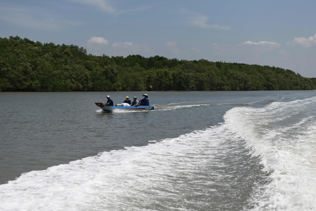 This photo taken on April 21, 2022 shows oyster farmers riding their boat past a mangrove forest at a coastal area in Ho Chi Minh City's Can Gio district. Photo by Nhac NGUYEN / AFP