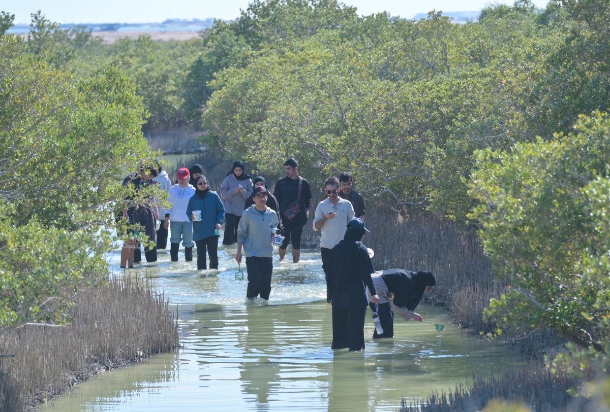 The Weill Cornell Medicine-Qatar students identified marine invertebrates and collected specimens on the Purple Island.